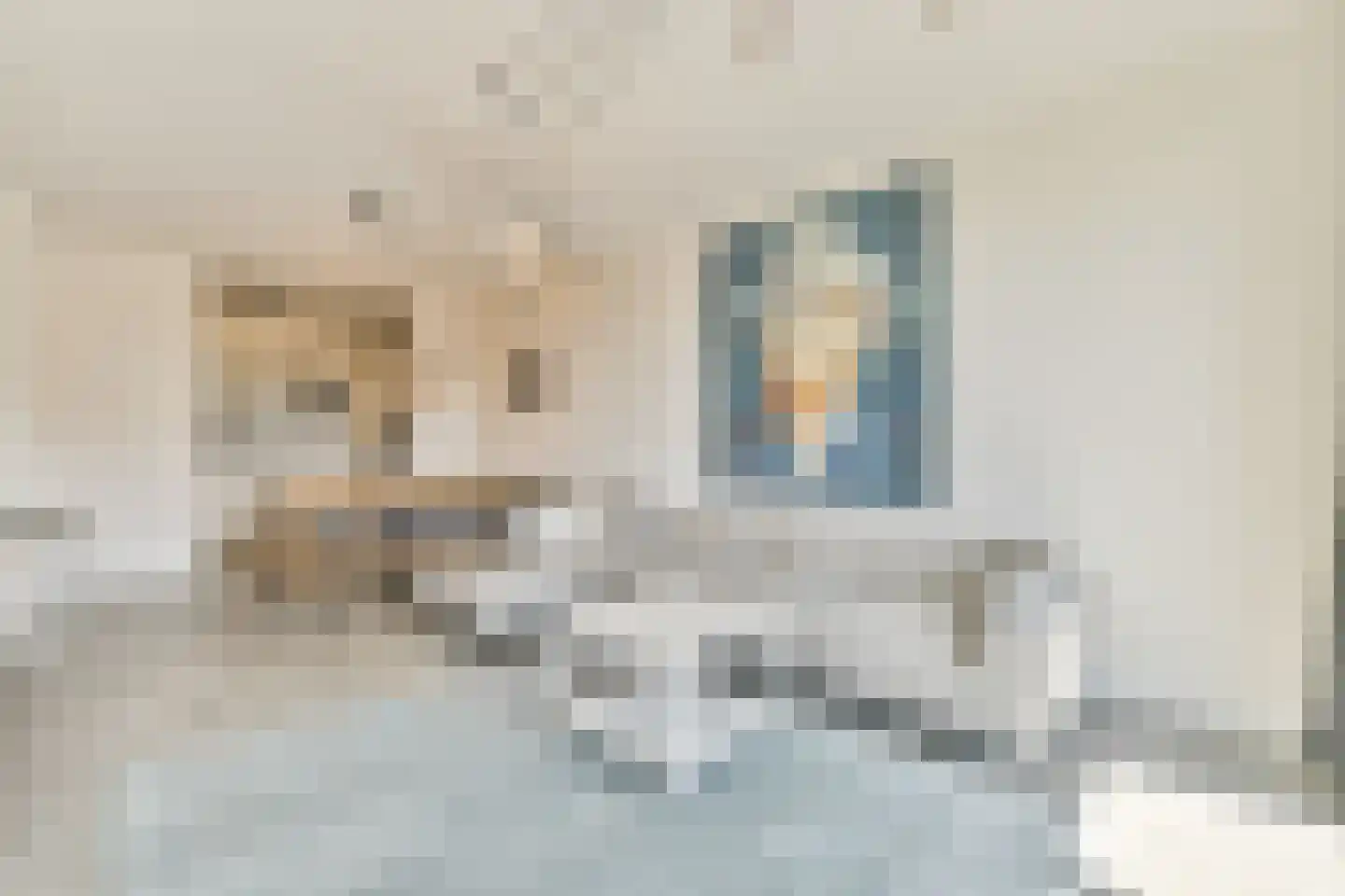 Erich Salomonstraat 138 Amsterdam thumbnail 15
