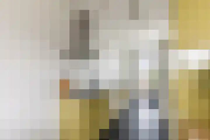 Erich Salomonstraat 267 Amsterdam thumbnail 7