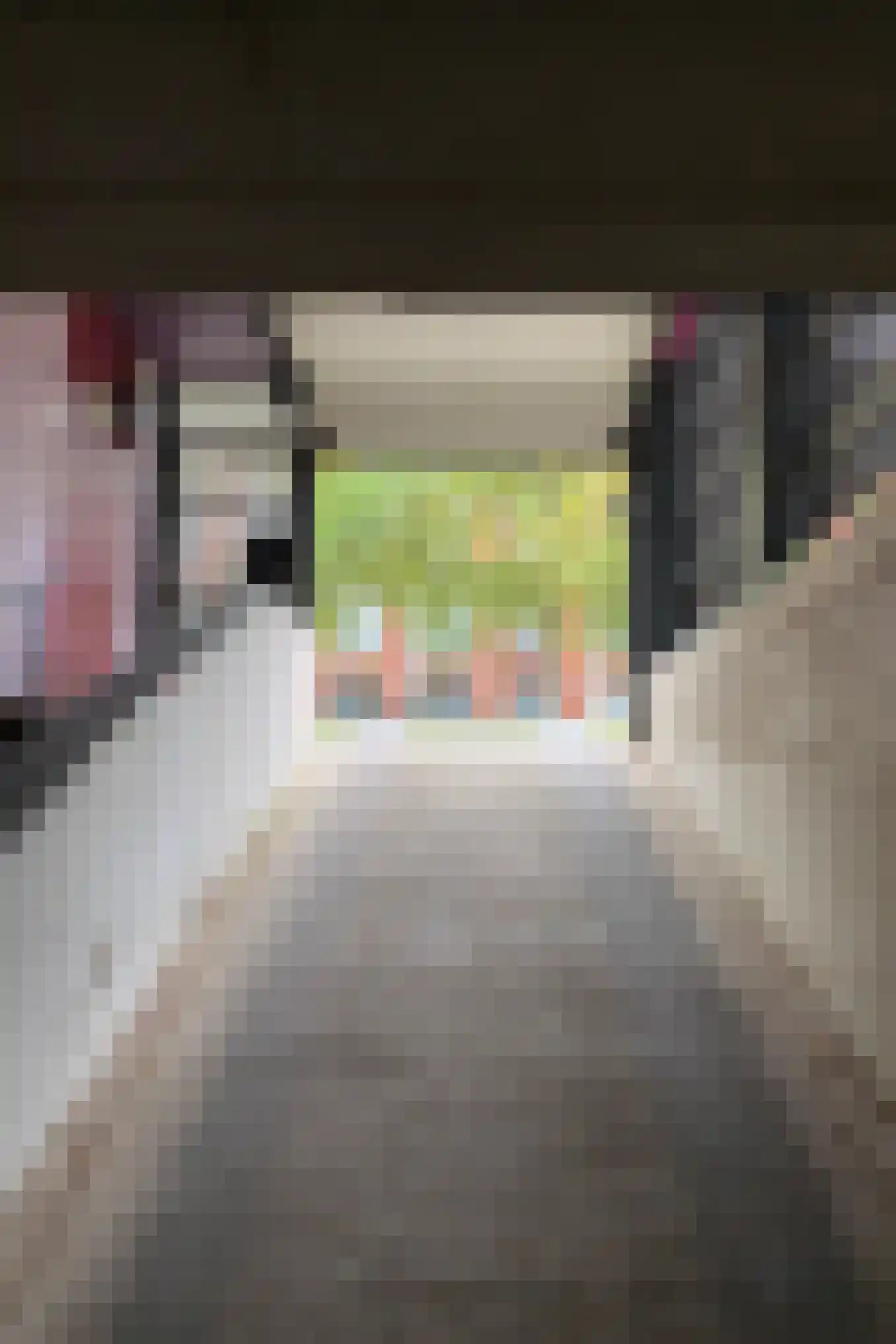 Erich Salomonstraat 348 Amsterdam thumbnail 29