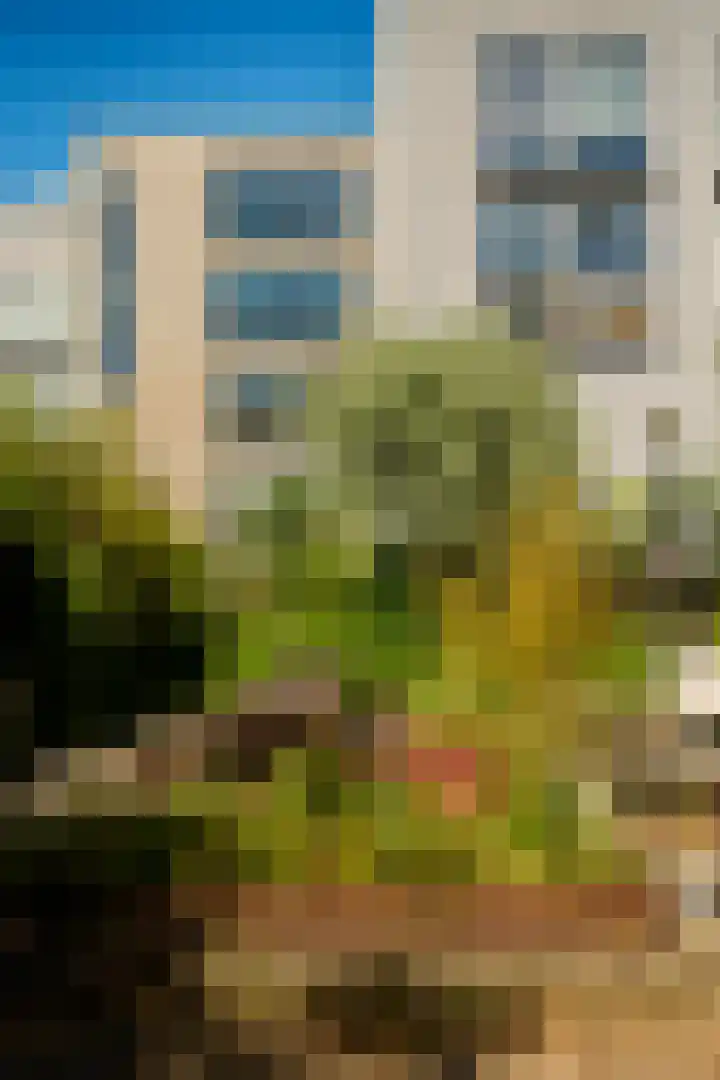 Erich Salomonstraat 462 Amsterdam thumbnail 37