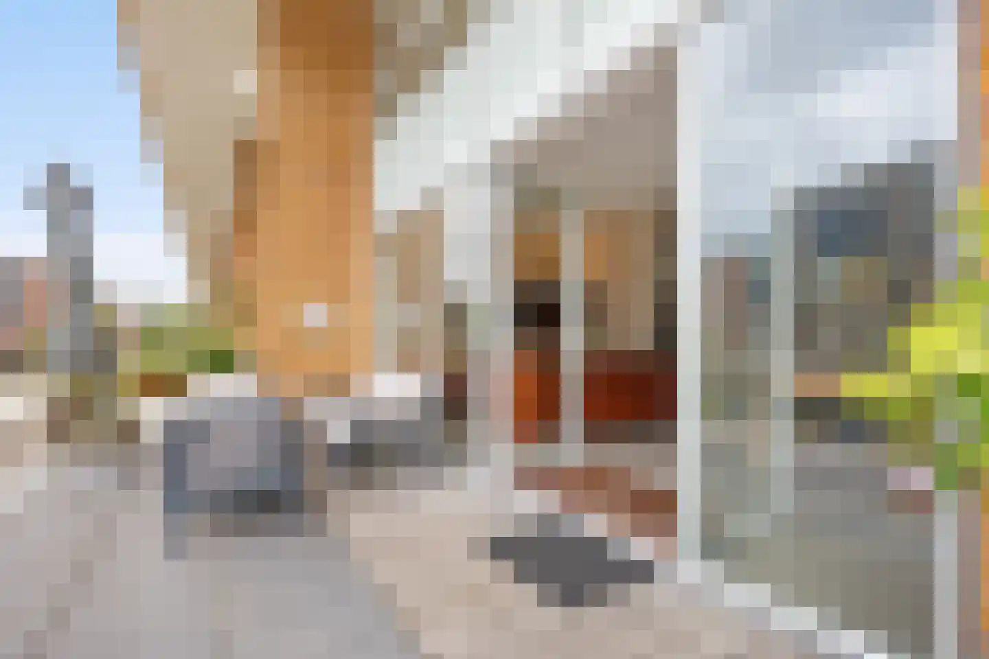 Erich Salomonstraat 566 Amsterdam thumbnail 9