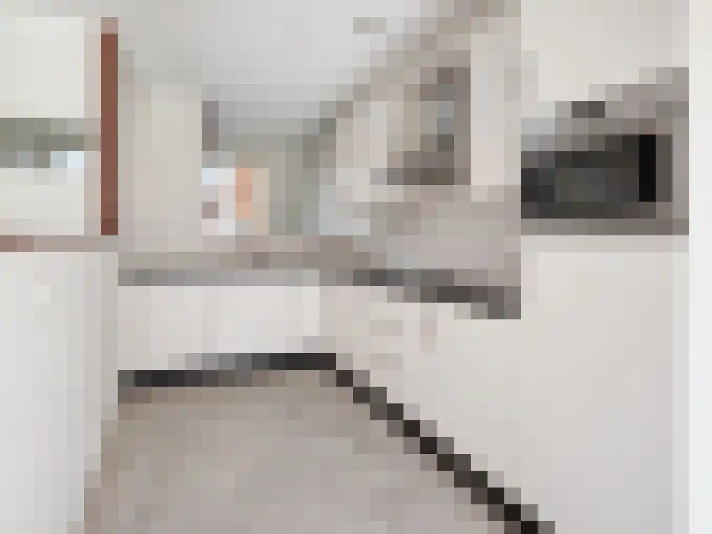Erich Salomonstraat 80 Amsterdam thumbnail 11