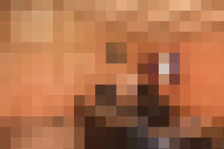 Erichemsekade 8 Buren thumbnail 10