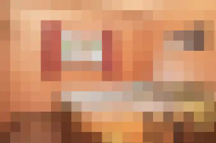 Erichemsekade 8 Buren thumbnail 11