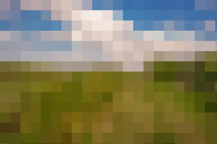 Erichemsekade 8 Buren thumbnail 22