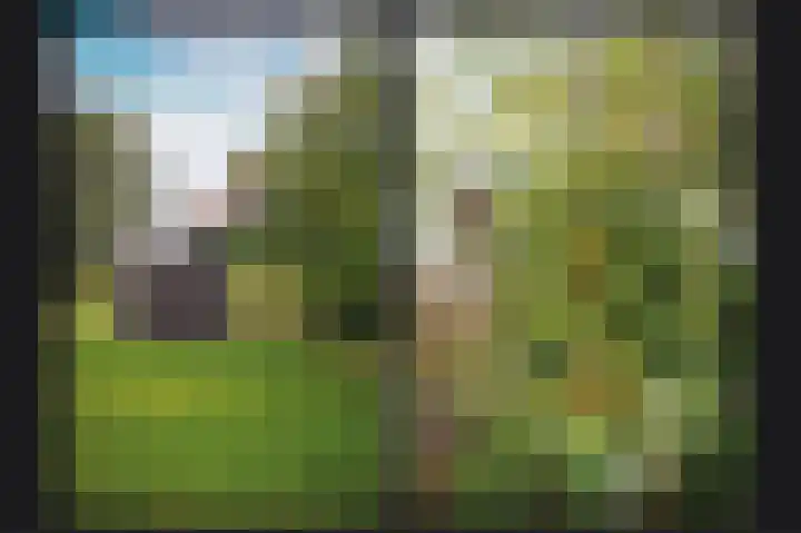 Erichemsekade 8 Buren thumbnail 26
