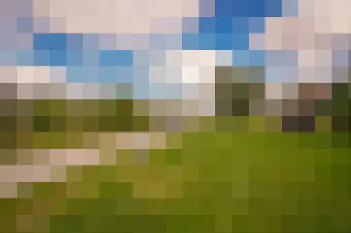 Erichemsekade 8 Buren thumbnail 27