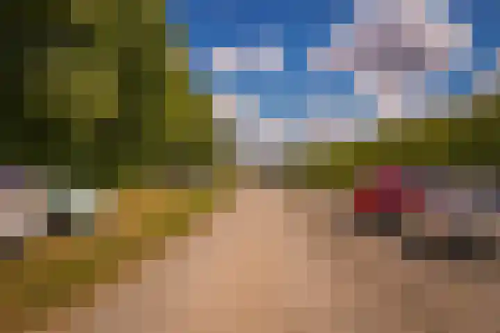 Erichemsekade 8 Buren thumbnail 28