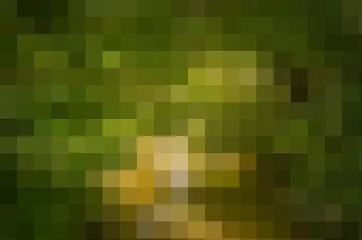 Erichemsekade 8 Buren thumbnail 32