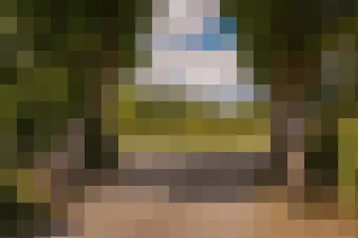 Erichemsekade 8 Buren thumbnail 33