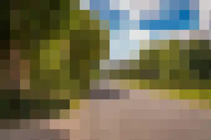 Erichemsekade 8 Buren thumbnail 34