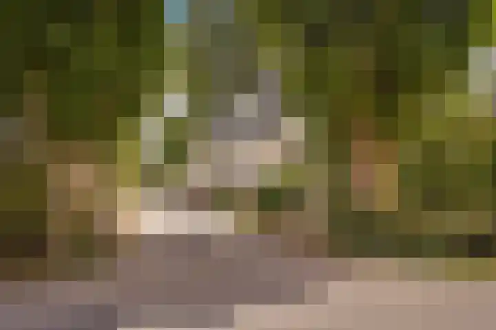 Erichemsekade 8 Buren thumbnail 35