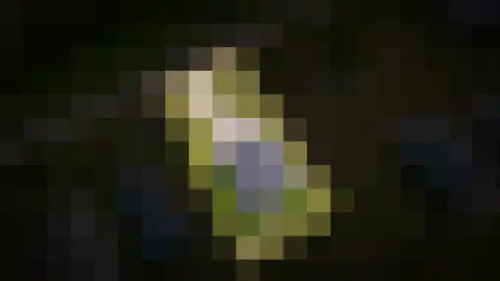 Erichemsekade 8 Buren thumbnail 38