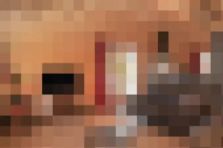 Erichemsekade 8 Buren thumbnail 5