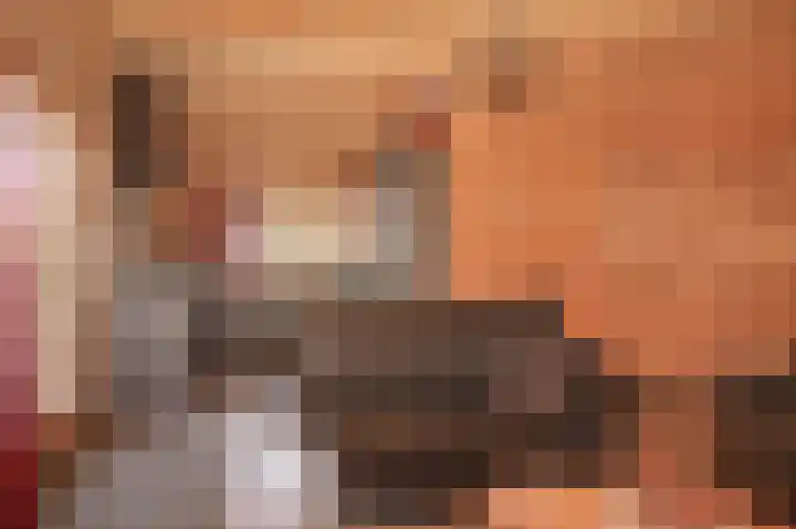 Erichemsekade 8 Buren thumbnail 6