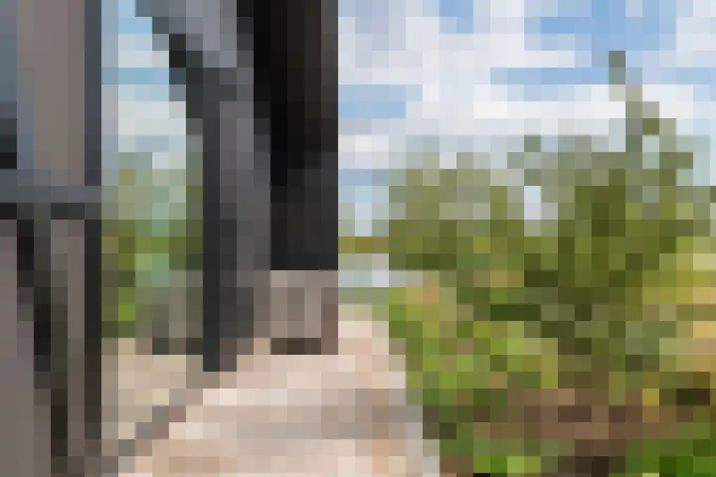Erichemsewal 1 f Erichem thumbnail 14