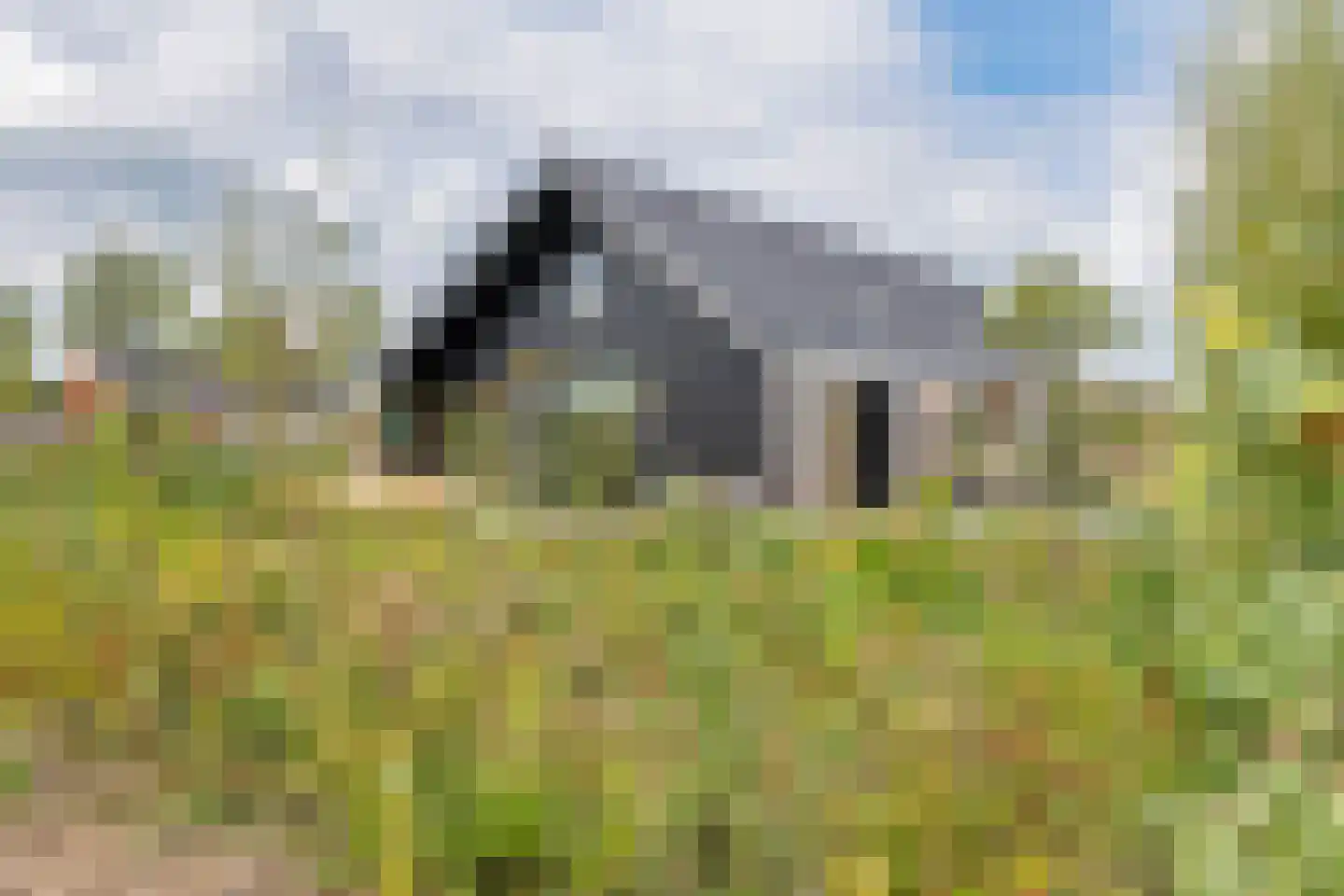 Erichemsewal 1 f Erichem thumbnail 15