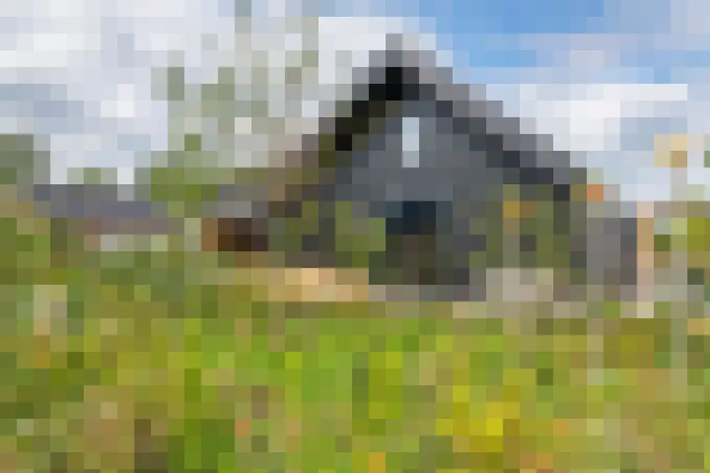 Erichemsewal 1 f Erichem thumbnail 16