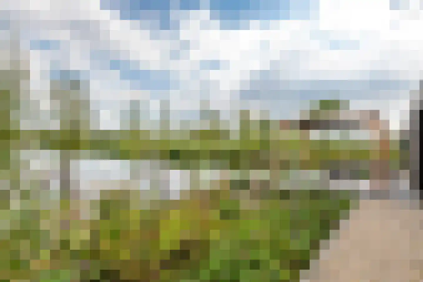 Erichemsewal 1 f Erichem thumbnail 18