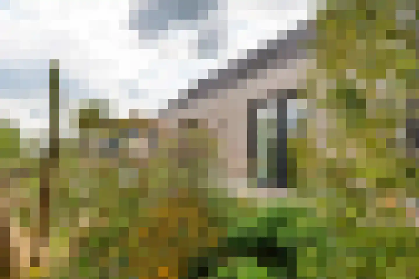 Erichemsewal 1 f Erichem thumbnail 19