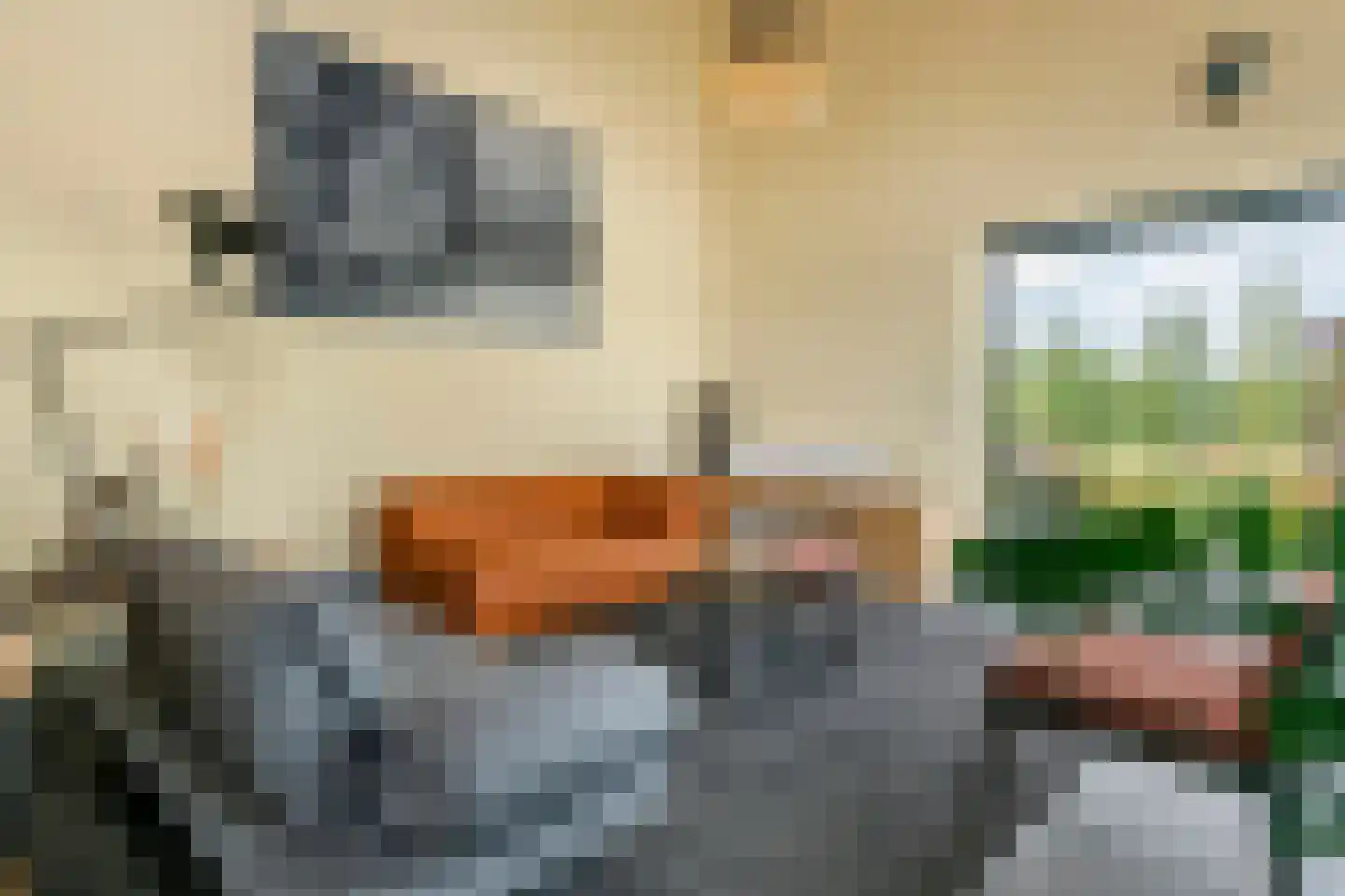 Erichemsewal 1 f Erichem thumbnail 20