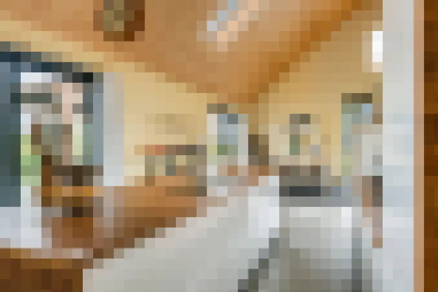 Erichemsewal 1 f Erichem thumbnail 28