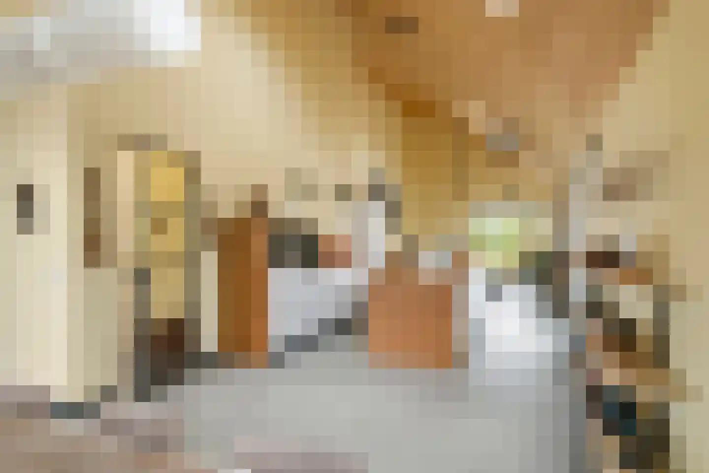 Erichemsewal 1 f Erichem thumbnail 30