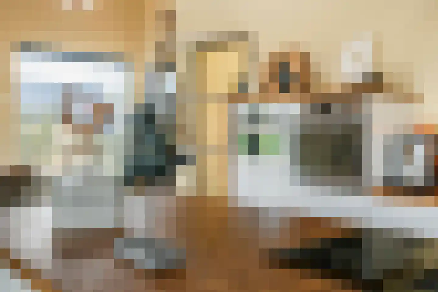 Erichemsewal 1 f Erichem thumbnail 32