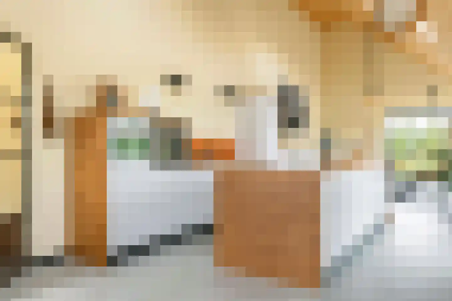 Erichemsewal 1 f Erichem thumbnail 34