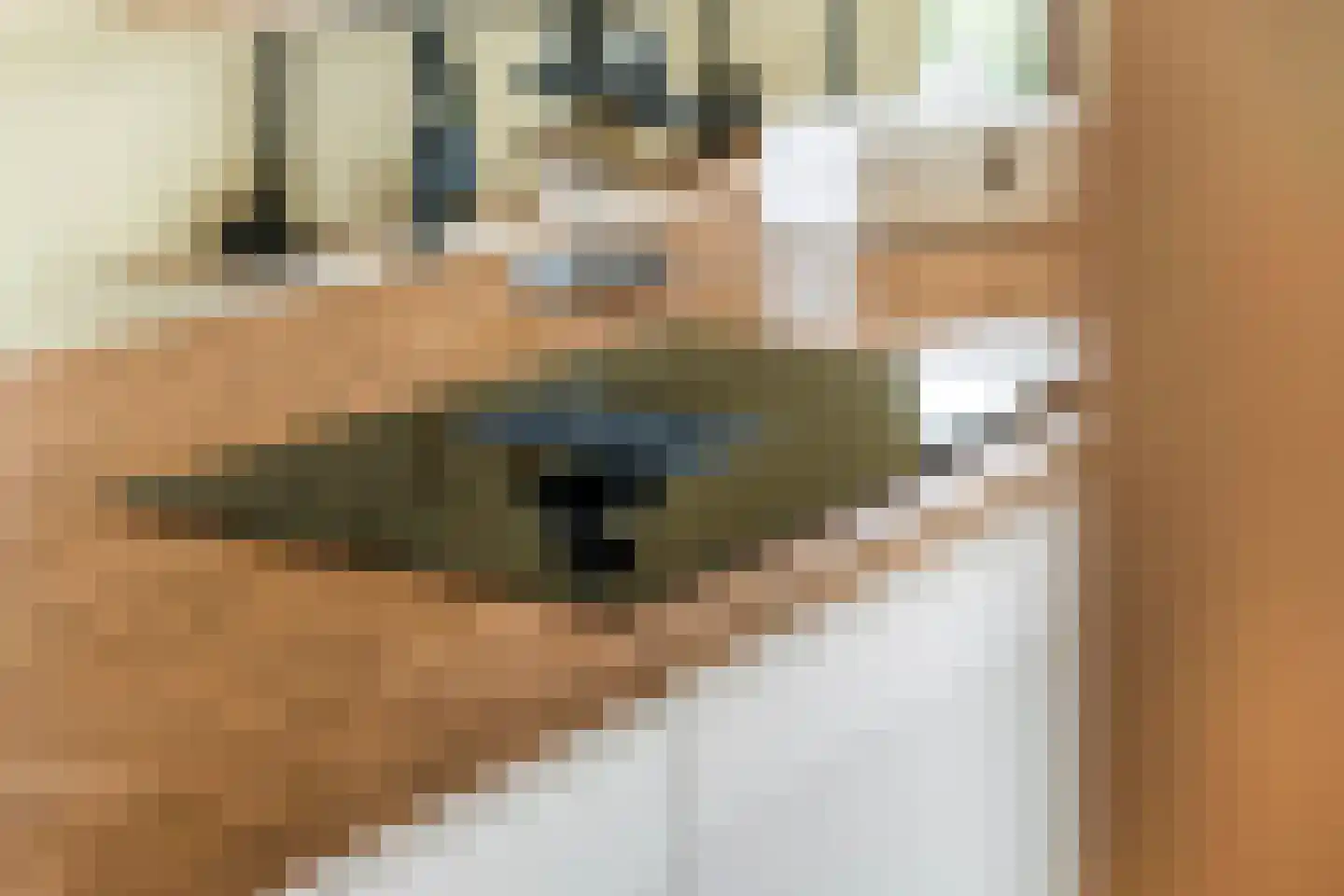 Erichemsewal 1 f Erichem thumbnail 35