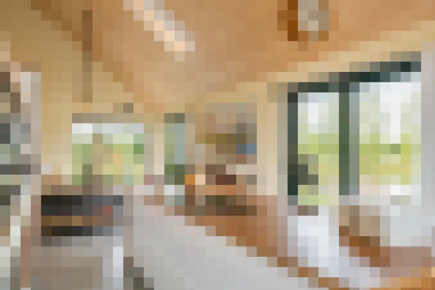 Erichemsewal 1 f Erichem thumbnail 38