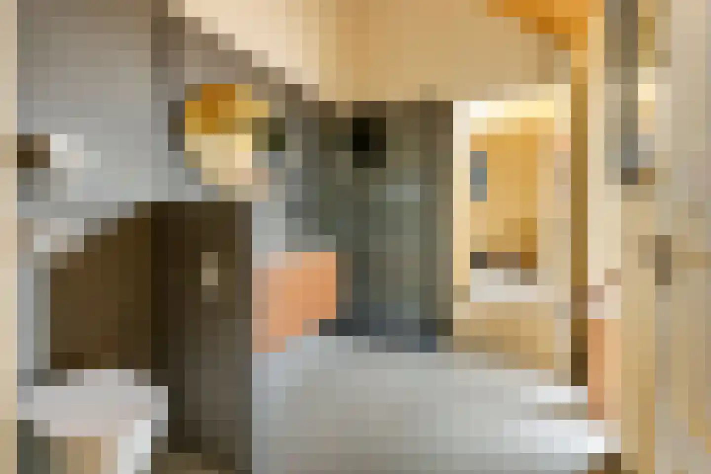 Erichemsewal 1 f Erichem thumbnail 46