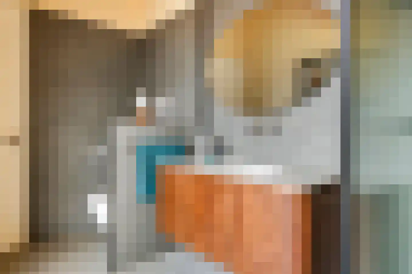 Erichemsewal 1 f Erichem thumbnail 48