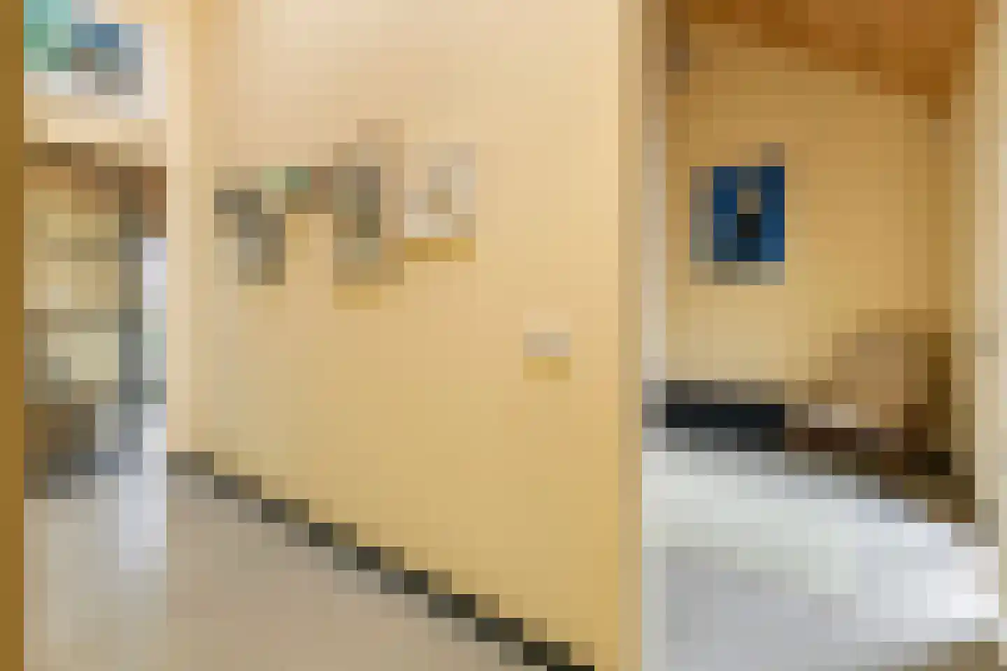 Erichemsewal 1 f Erichem thumbnail 49