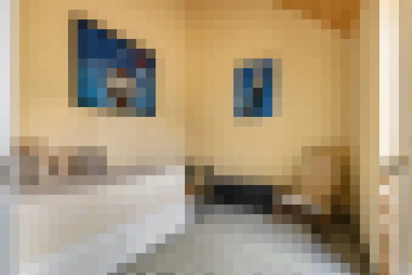 Erichemsewal 1 f Erichem thumbnail 54