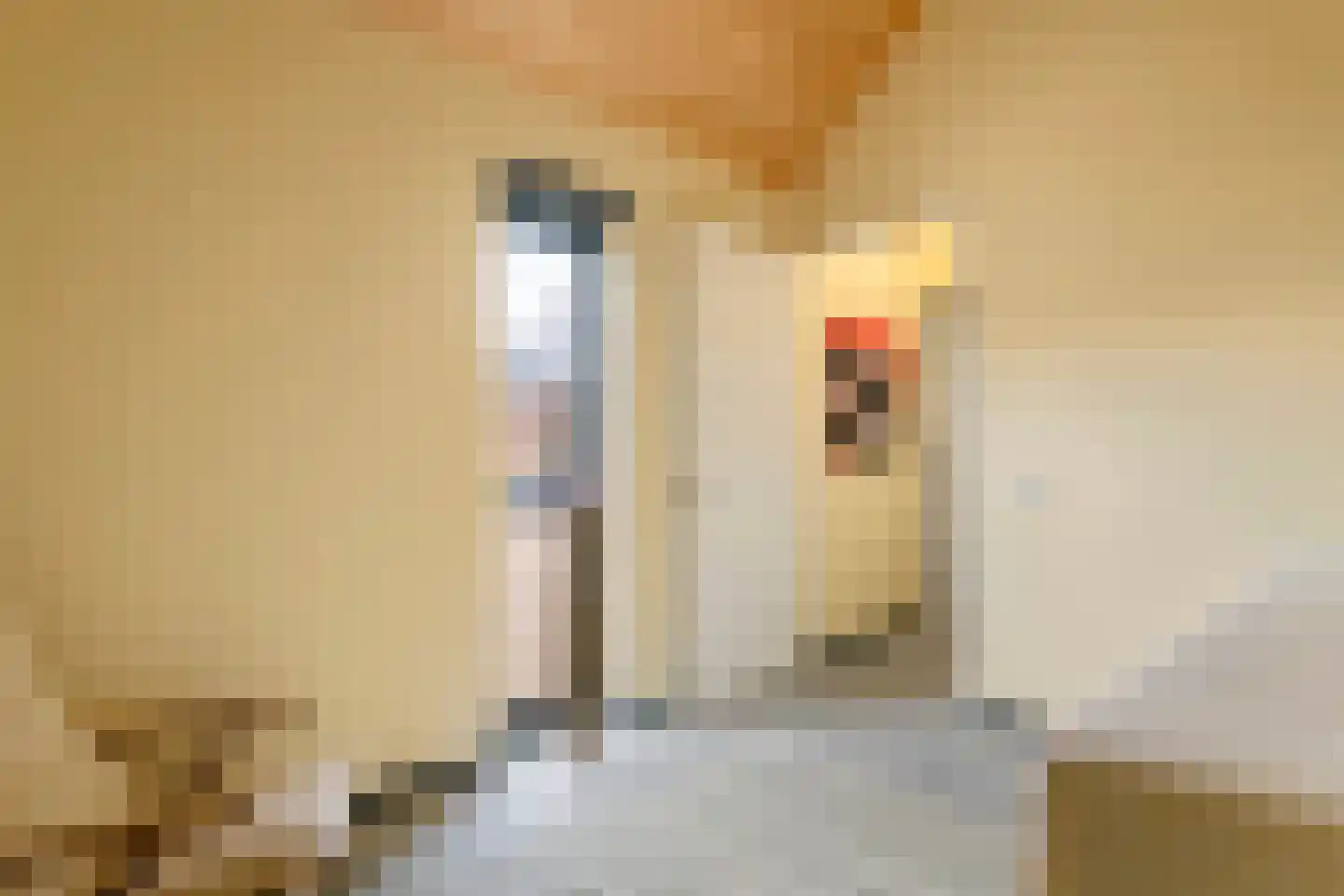 Erichemsewal 1 f Erichem thumbnail 56
