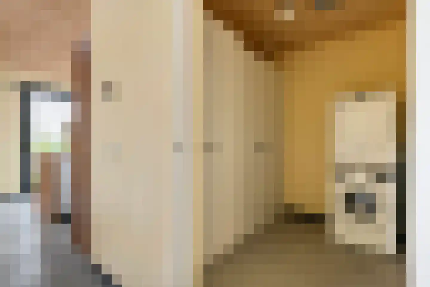 Erichemsewal 1 f Erichem thumbnail 60