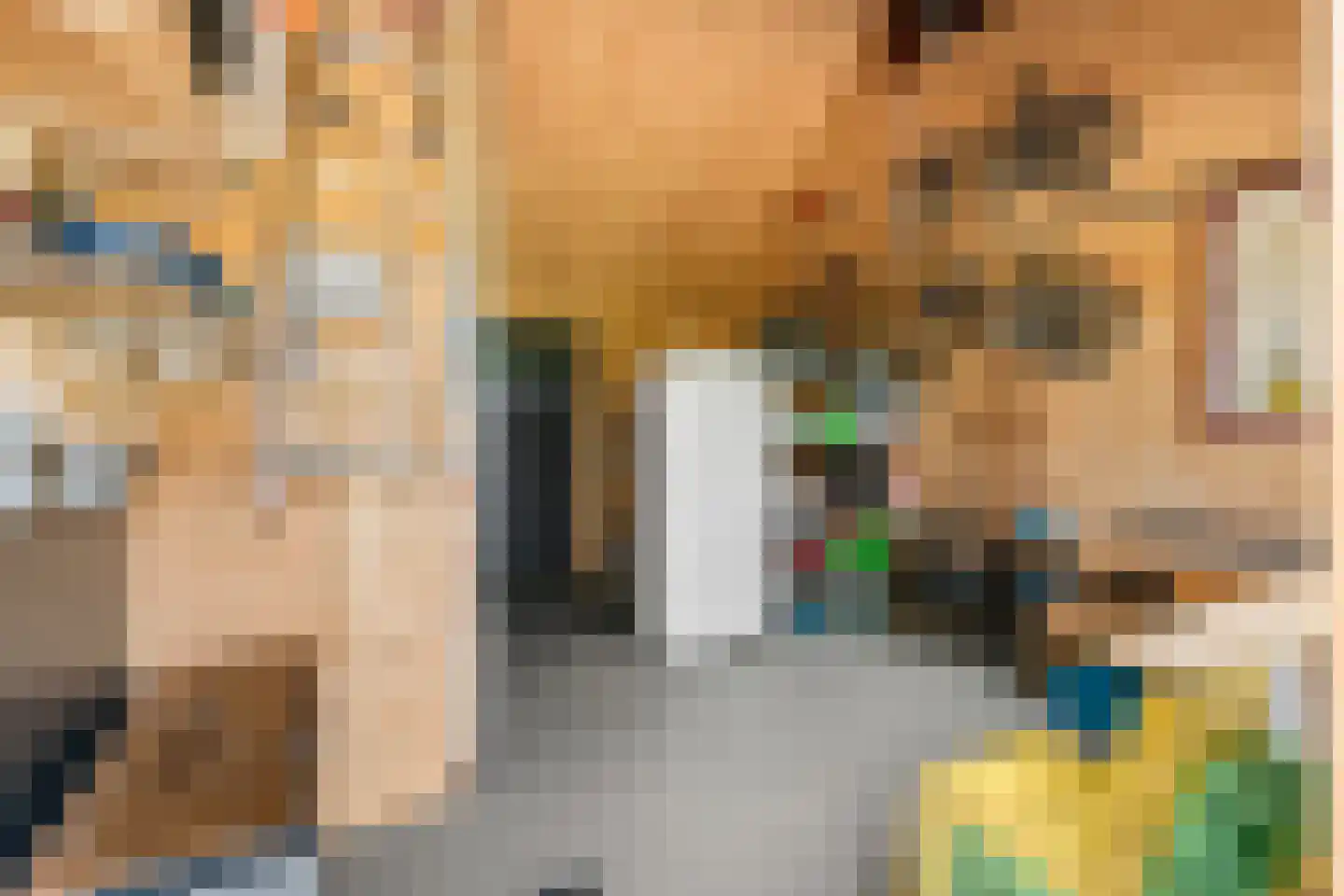 Erichemsewal 1 f Erichem thumbnail 61