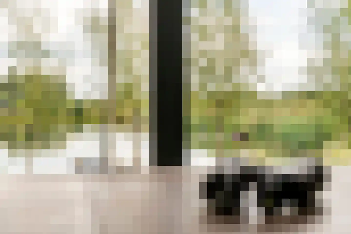Erichemsewal 1 f Erichem thumbnail 63