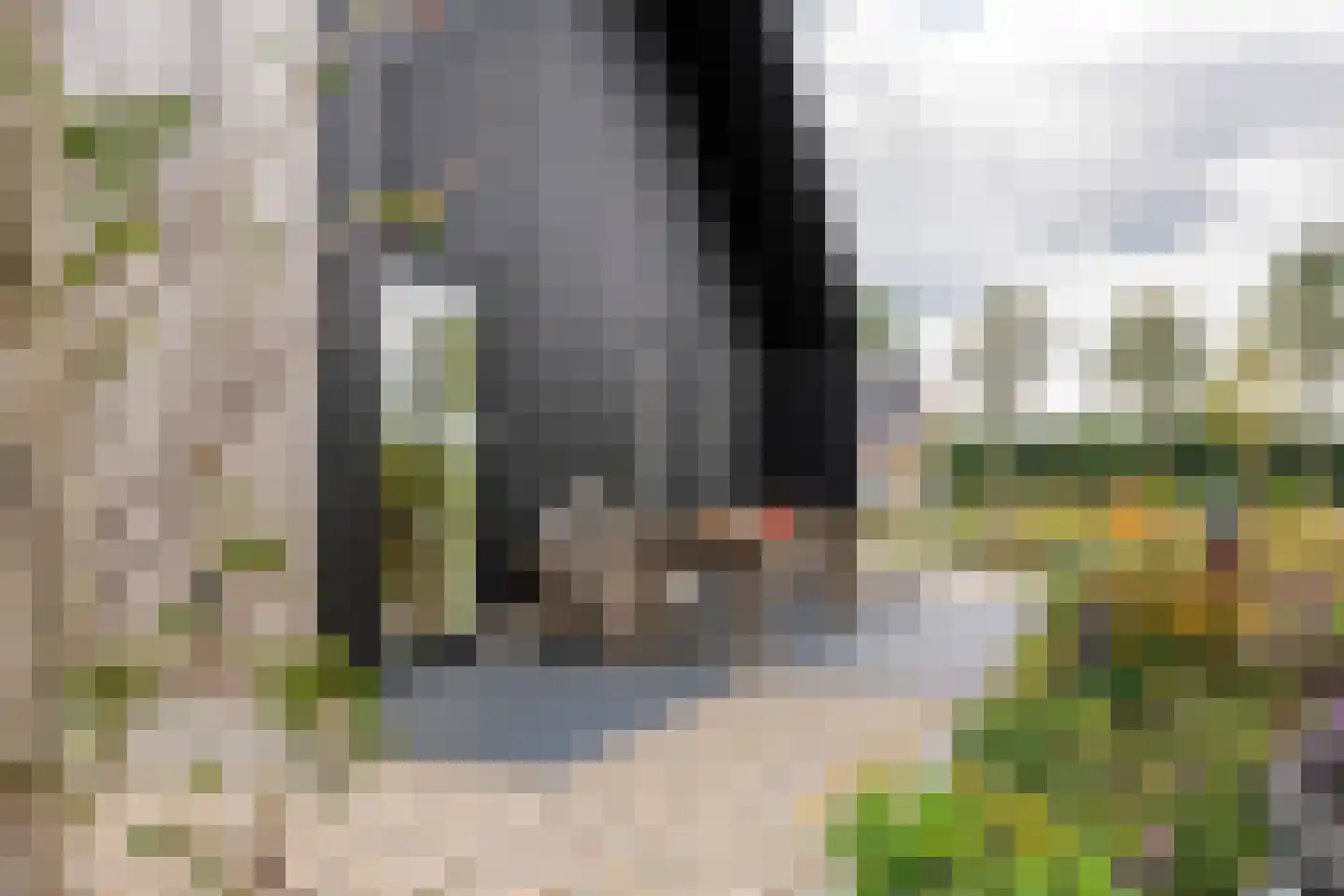 Erichemsewal 1 f Erichem thumbnail 64