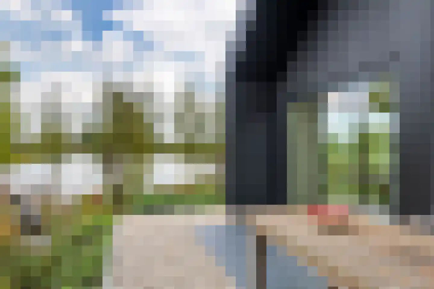 Erichemsewal 1 f Erichem thumbnail 67