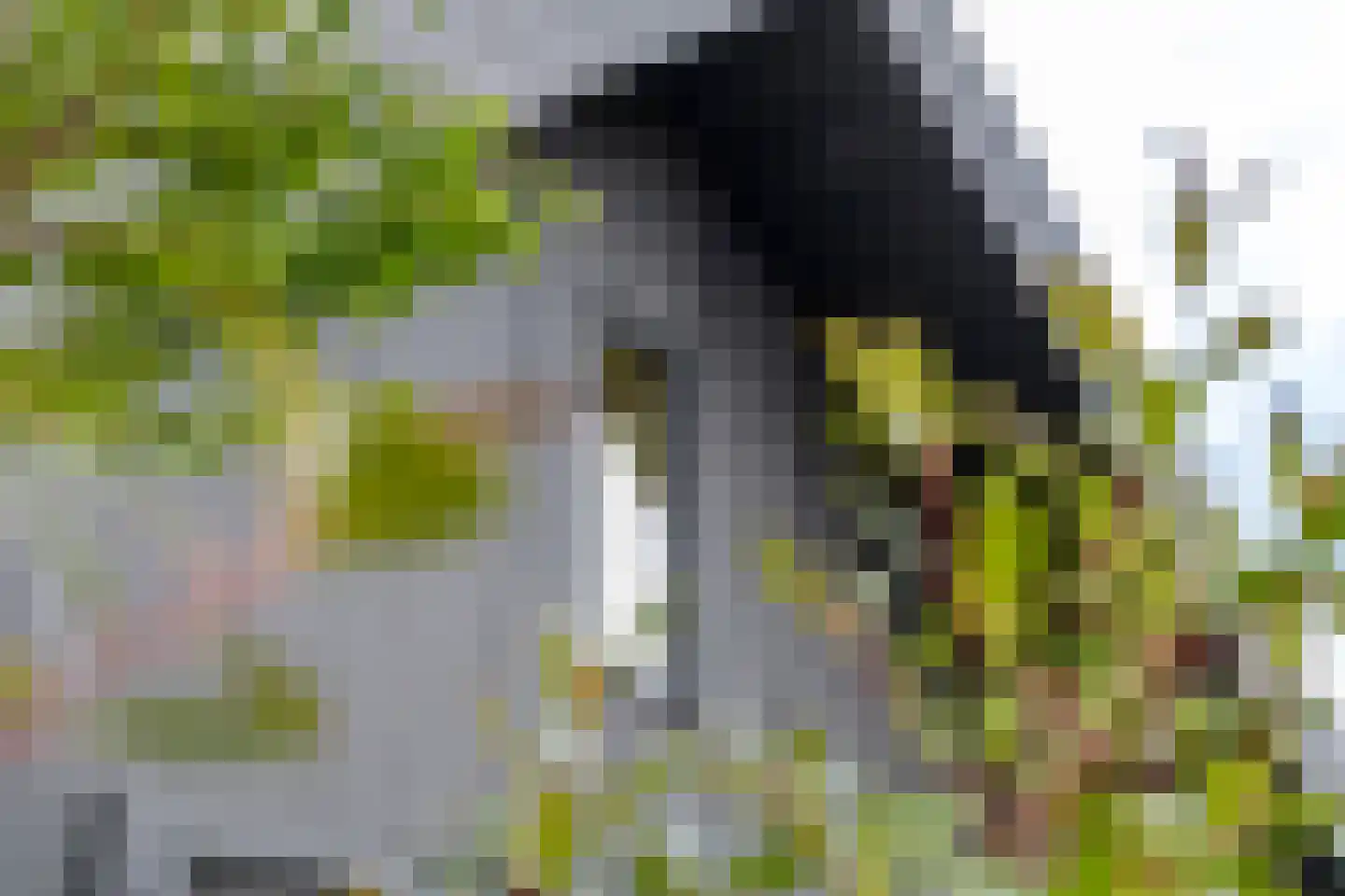 Erichemsewal 1 f Erichem thumbnail 73