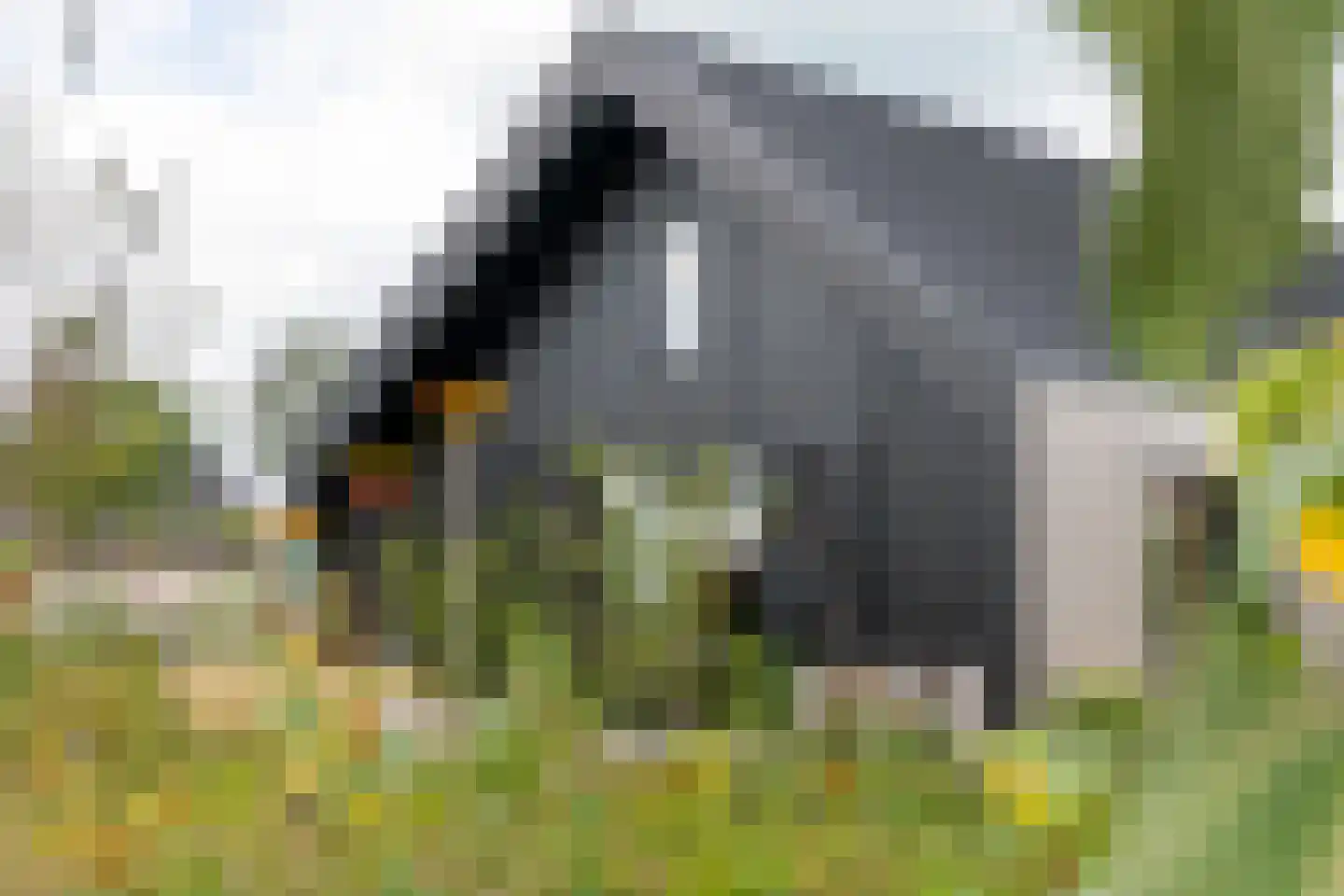 Erichemsewal 1 f Erichem thumbnail 76