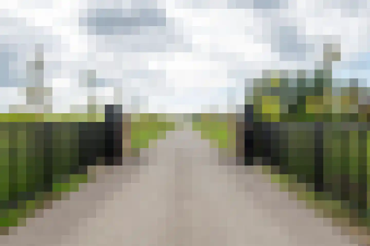Erichemsewal 1 f Erichem thumbnail 8