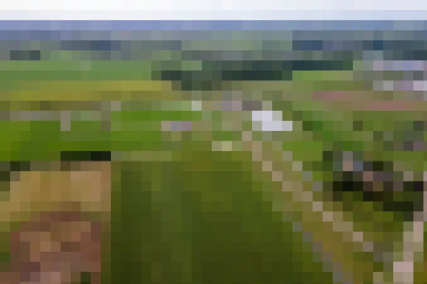 Erichemsewal 1 f Erichem thumbnail 80