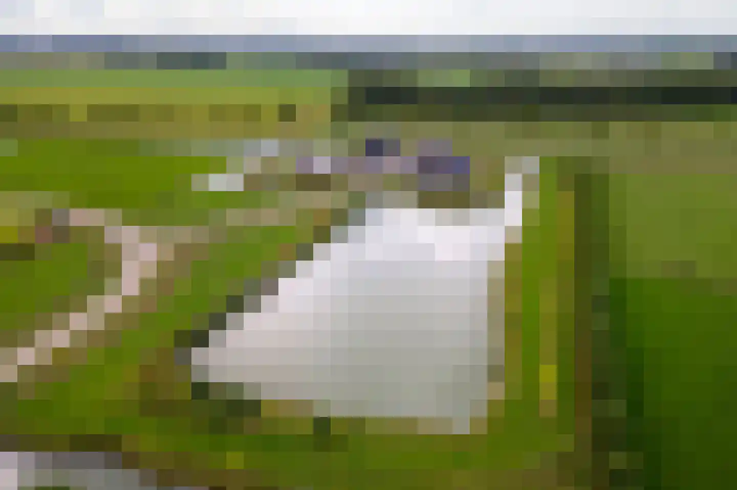 Erichemsewal 1 f Erichem thumbnail 83