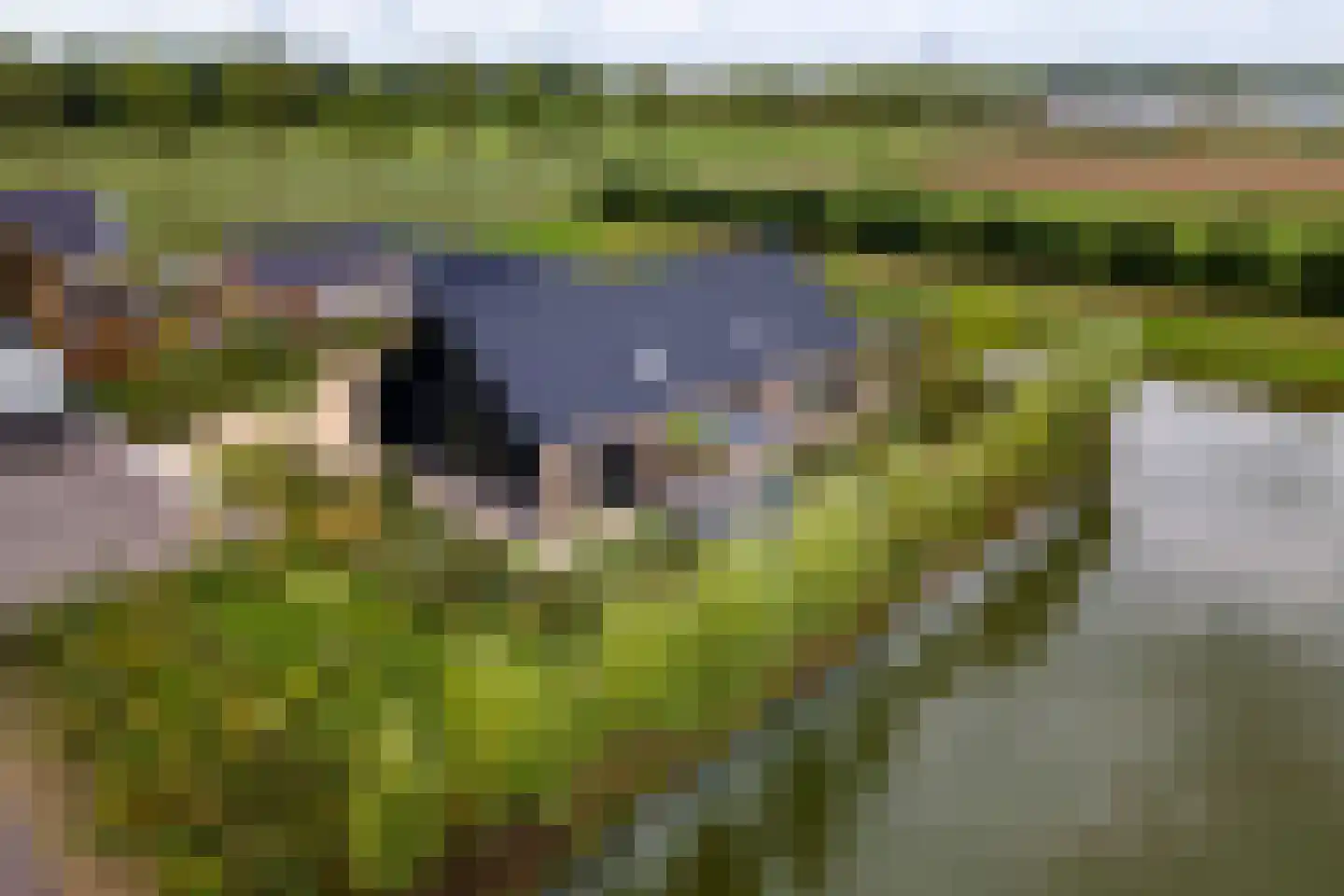 Erichemsewal 1 f Erichem thumbnail 85