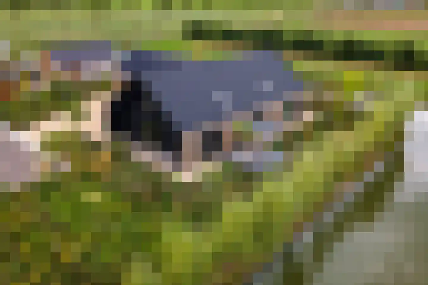 Erichemsewal 1 f Erichem thumbnail 86