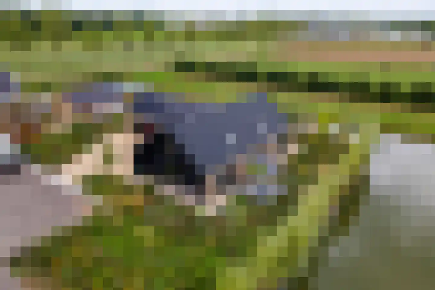 Erichemsewal 1 f Erichem thumbnail 87