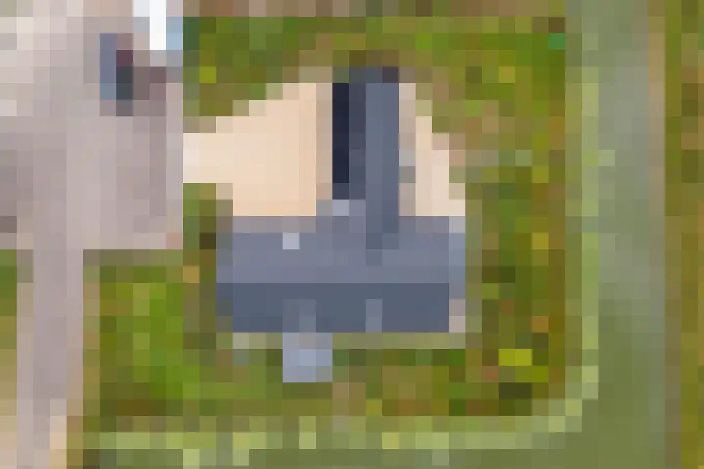 Erichemsewal 1 f Erichem thumbnail 88